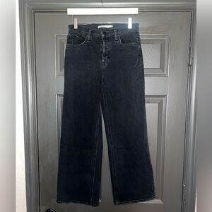 Hudson Rosie Wide Leg Denim